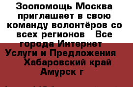 Зоопомощь.Москва приглашает в свою команду волонтёров со всех регионов - Все города Интернет » Услуги и Предложения   . Хабаровский край,Амурск г.